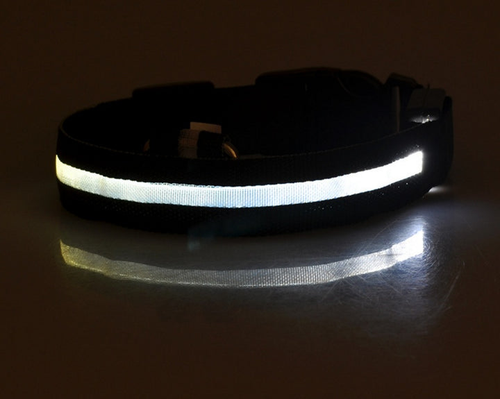 LED Glow-in-Dark Pet Collar & Leash - Tawoos Brand