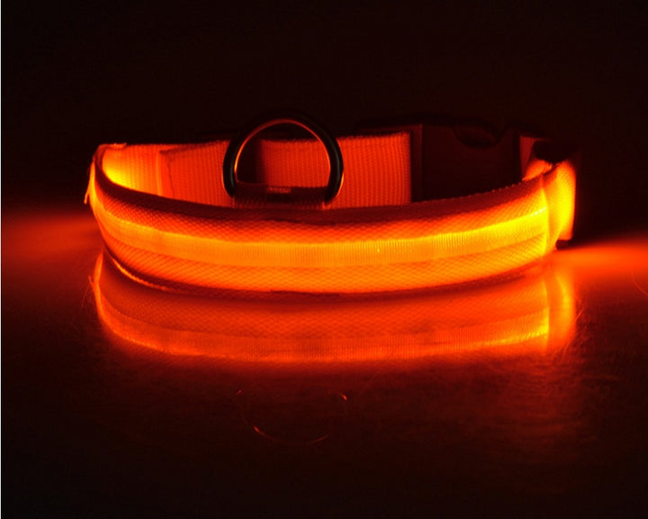 LED Glow-in-Dark Pet Collar & Leash - Tawoos Brand