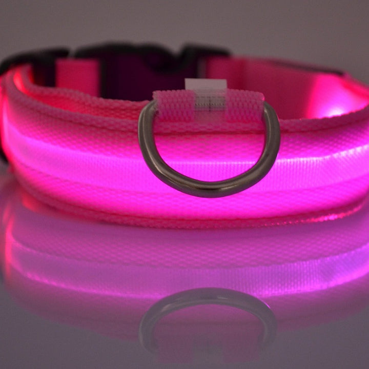 LED Glow-in-Dark Pet Collar & Leash - Tawoos Brand