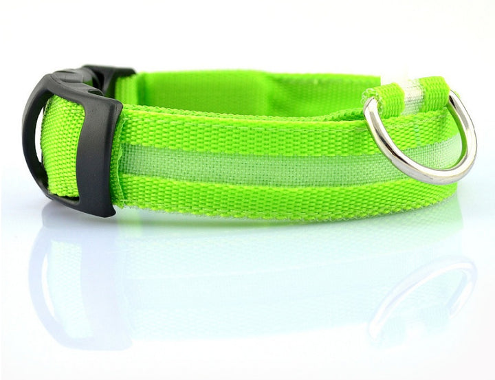 LED Glow-in-Dark Pet Collar & Leash - Tawoos Brand