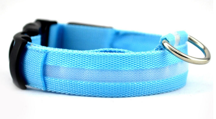 LED Glow-in-Dark Pet Collar & Leash - Tawoos Brand