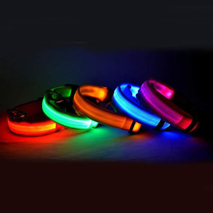 LED Glow-in-Dark Pet Collar & Leash - Tawoos Brand