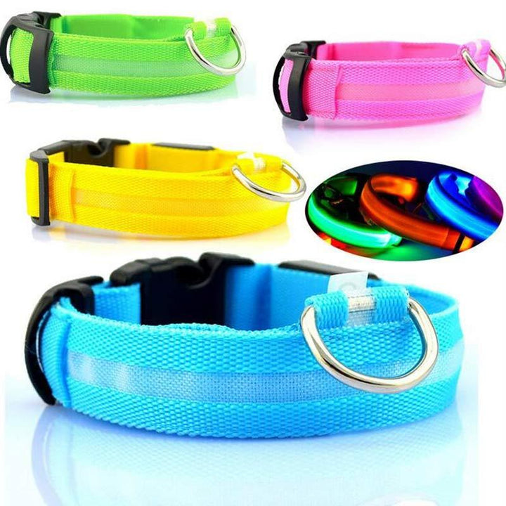 LED Glow-in-Dark Pet Collar & Leash - Tawoos Brand