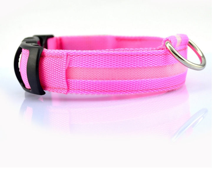 LED Glow-in-Dark Pet Collar & Leash - Tawoos Brand