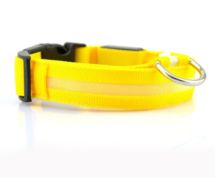 LED Glow-in-Dark Pet Collar & Leash - Tawoos Brand