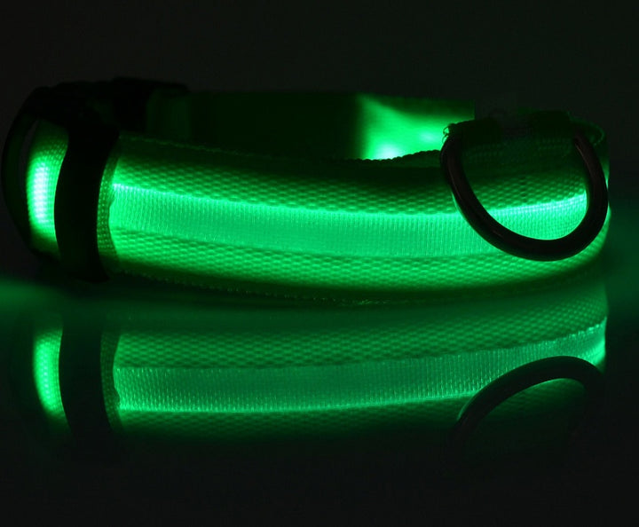 LED Glow-in-Dark Pet Collar & Leash - Tawoos Brand