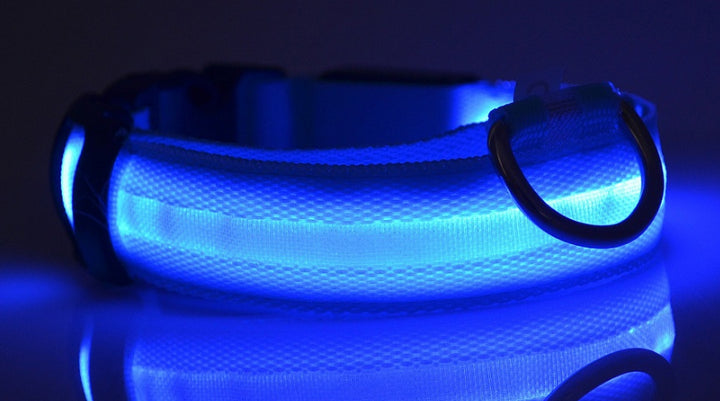 LED Glow-in-Dark Pet Collar & Leash - Tawoos Brand